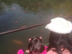 -西湖外事游船(花港观鱼码头)