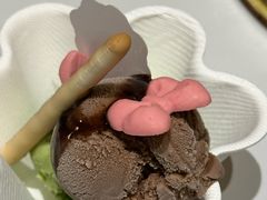 -阿露佳·舌尖上的安吉菜