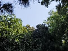 -洛阳市隋唐城遗址植物园