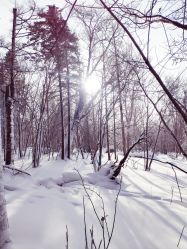 -大秃顶子山