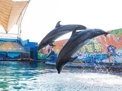 -秦皇岛新澳海底世界