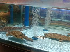-阿伟海鲜楼·福建菜(延寿店)