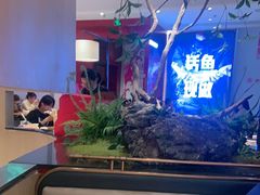 -老板恋上鱼(恒隆广场店)