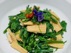 橄榄油丝瓜尖-北平楼·烤鸭·北京菜(牡丹园店)