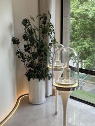 -雅荷悦来双美