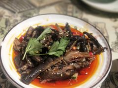 养生乌鸡爪-井水小厨·湘菜(活力广场店)