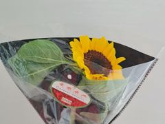 -循礼门鲜花花市(武汉循礼门店)