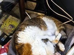-浅行深作咖啡坊