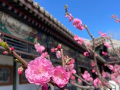 -颐和园