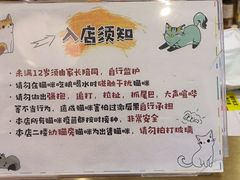 -飞行喵MR PILOT|猫舍·猫咖(静安大融城店)