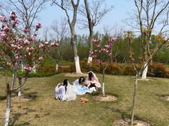 -上海长兴岛郊野公园