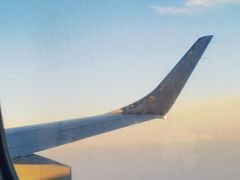 -约翰·菲茨杰拉德·肯尼迪国际机场