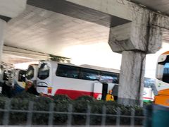 -上海旅游集散中心(万体站)