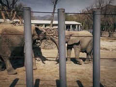 -新疆天山野生动物园