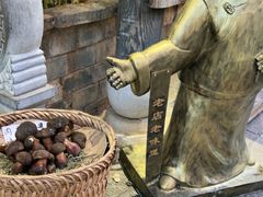 -香满楼.建水老宅院