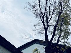 -青果巷历史文化街区