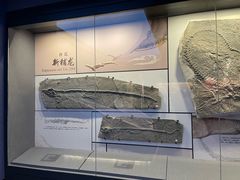 -贵州省地质博物馆