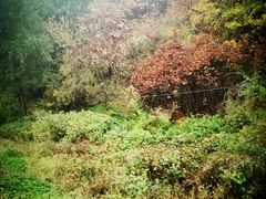 -沈阳辉山风景区