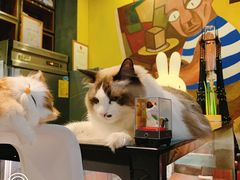 -咖法森林·咖啡  酒吧(天河店)