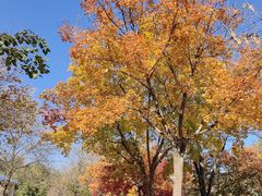 -石家庄市动物园