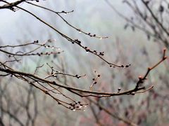 -九华山聚龙大酒店