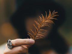 -山王坪喀斯特国家生态公园