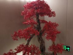-大张烙馍村(泉山店)