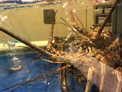 -海景壹号大酒店(滨湖店)