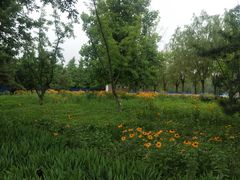 -北京国家会计学院