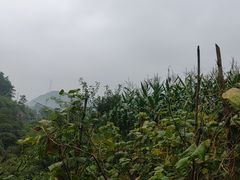 -重庆南山海昌汤都