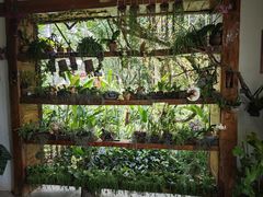 -中国科学院西双版纳热带植物园