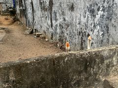 -清爽清补凉