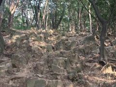 -紫金山山顶公园