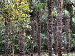 -春兰国宾馆(凤城河风景区老街店)