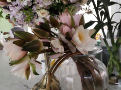 -蝶舍·MAISON PAPILLON