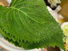 苏子叶-本家韩国烤肉(青岛万象城店)
