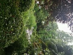 android_upload_pic-金牛山大酒店(南北湖风景区店)