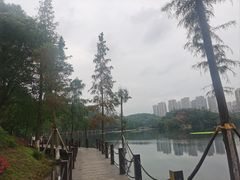 -重庆彩云湖湿地公园