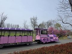 -江苏三台山国家森林公园