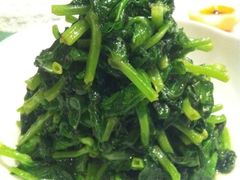 清炒豆苗-福1039(愚园路店)