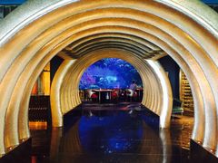 -迪拜帆船酒店海底餐厅