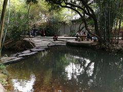 -大屏嶂森林公园