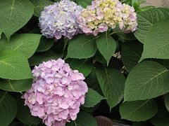 -北京石刻艺术博物馆(五塔寺)