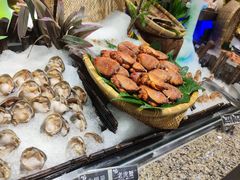 -初色海鲜自助(万丰路店)