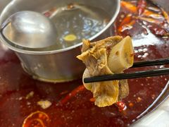 -金鼎雪山牦牛杂火锅(理县总店)
