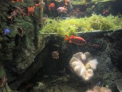 -太平洋海底世界