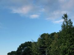 -昆山城市生态森林公园