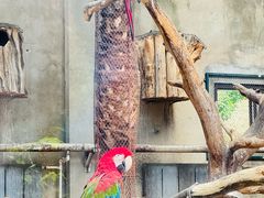 -大连森林动物园