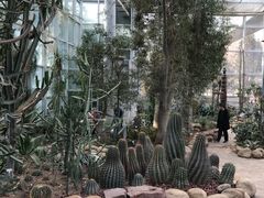 -郑州植物园