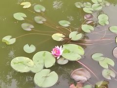 -嘉定博物馆